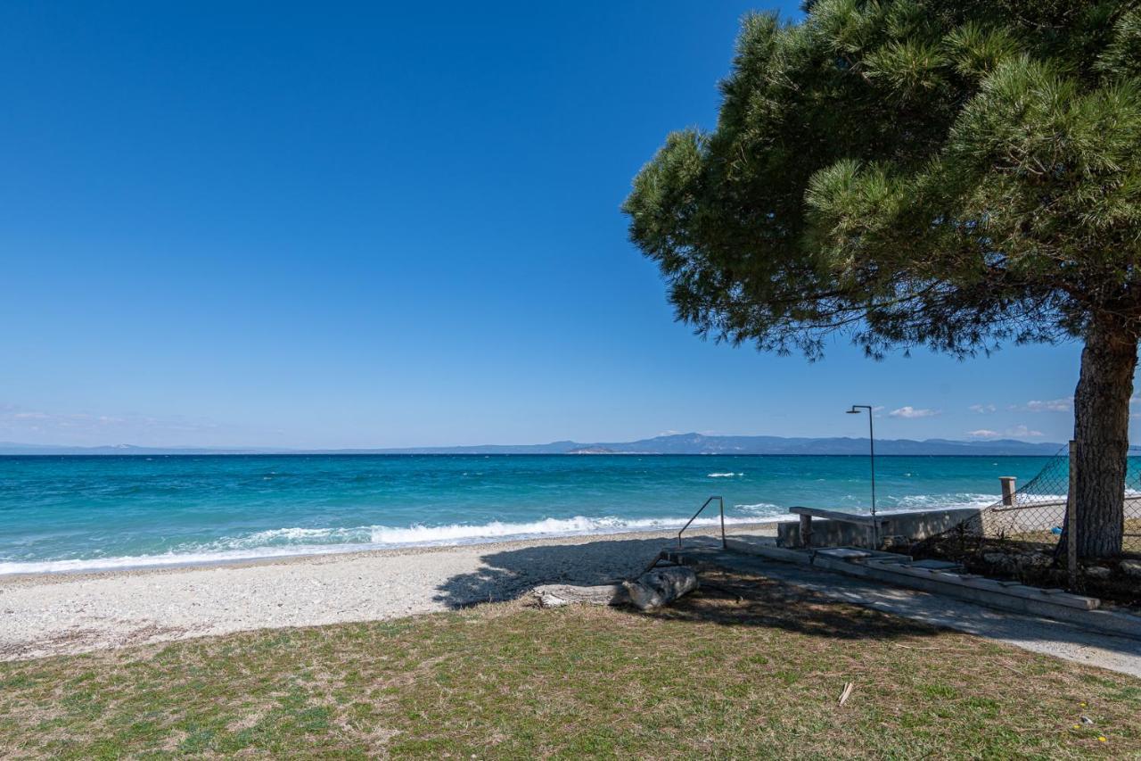 #flh - Amalthia & αthena Beachfront In Holiday home
