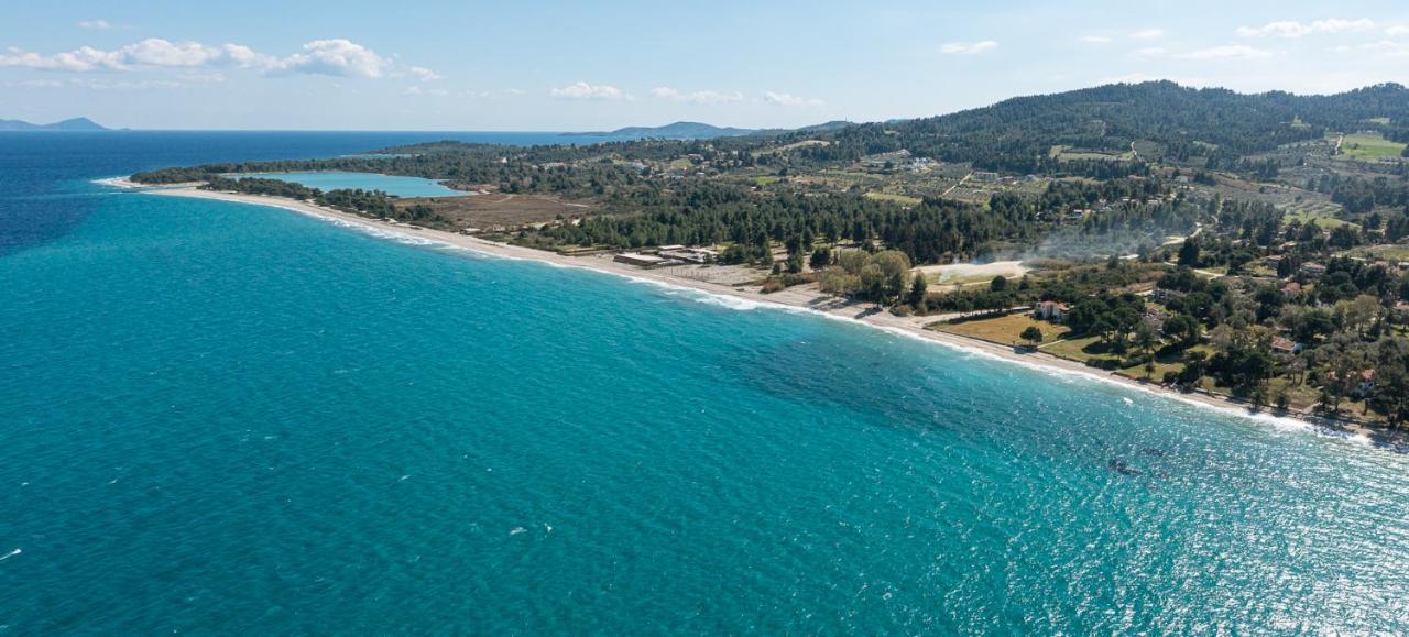 #flh - Amalthia & αthena Beachfront In Holiday home *