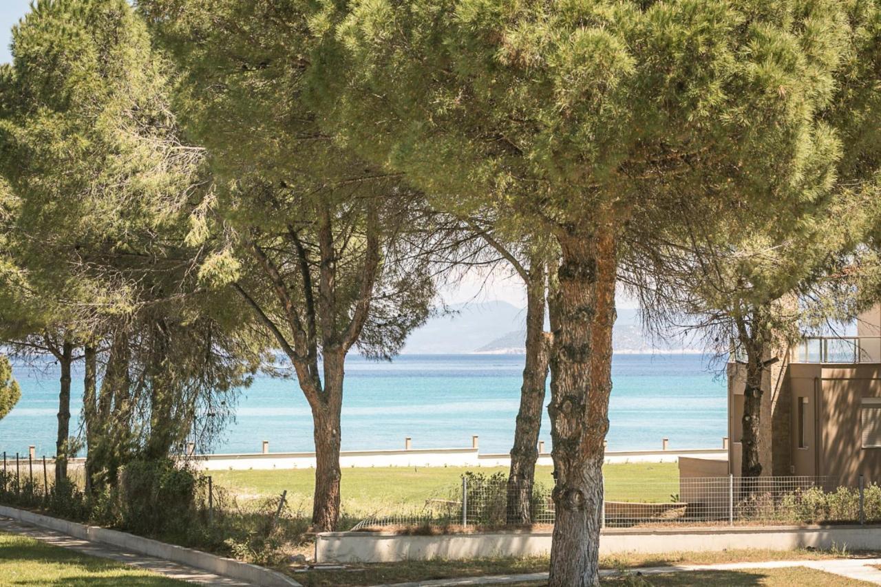 Holiday home #flh - Amalthia & αthena Beachfront In *
